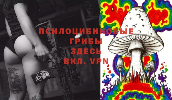 jwh Дмитров