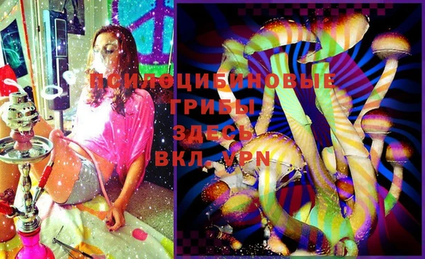 Альфа ПВП Дмитриев