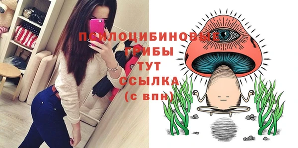 Альфа ПВП Дмитриев