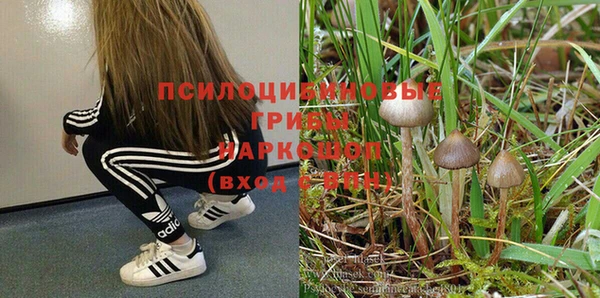 jwh Дмитров