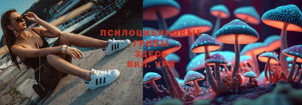 Альфа ПВП Дмитриев