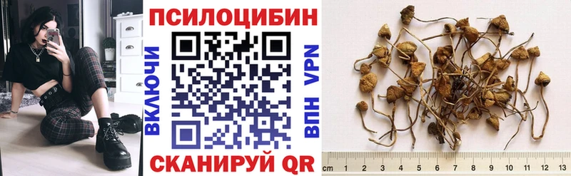 Галлюциногенные грибы GOLDEN TEACHER  гидра ONION  Дубовка 